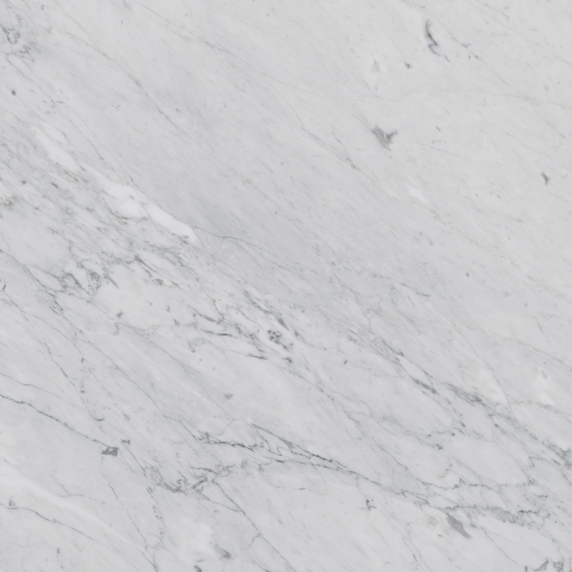 BIANCO CARRARA GIOIA